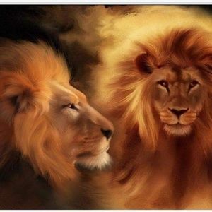 Meet your Posher, Rob